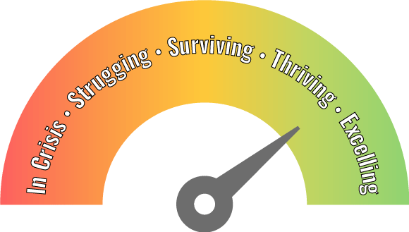 Continuum of Care Graphic