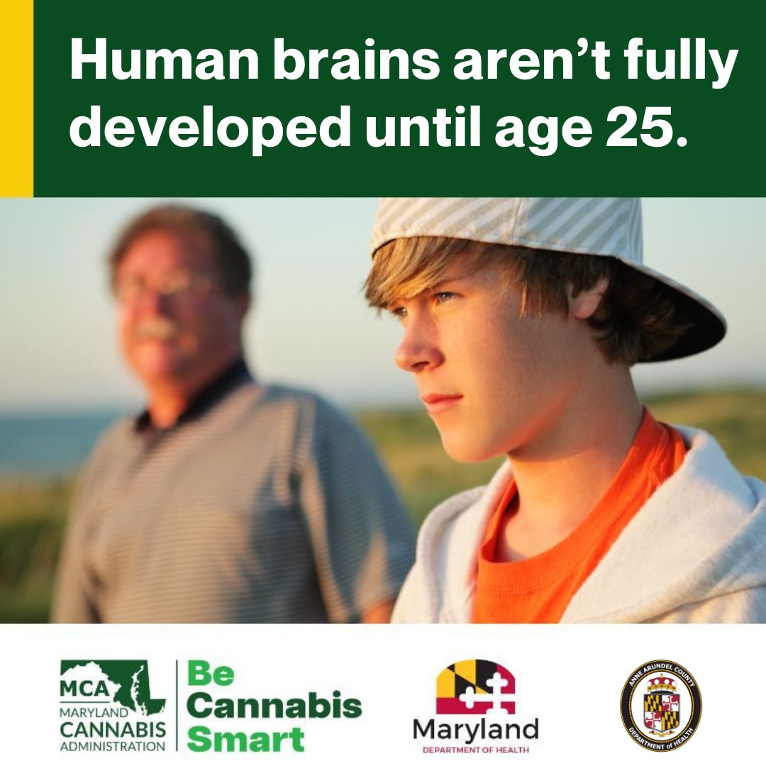 Human brains aren't fully developed until age 25