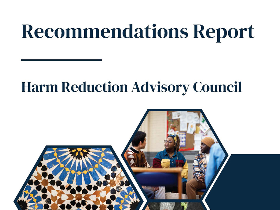 Harm Reduction Recommendations Report
