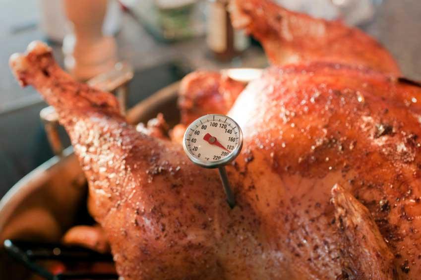 Turkey with thermometer