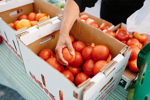 Tomatoes