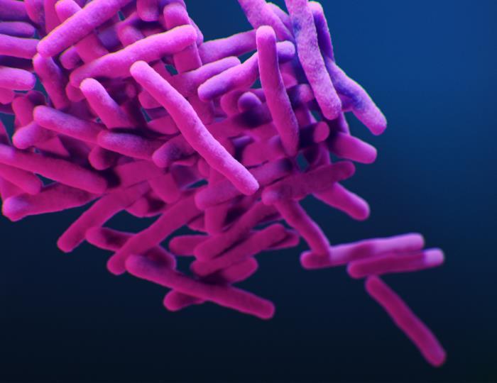 Tuberculosis bacteria