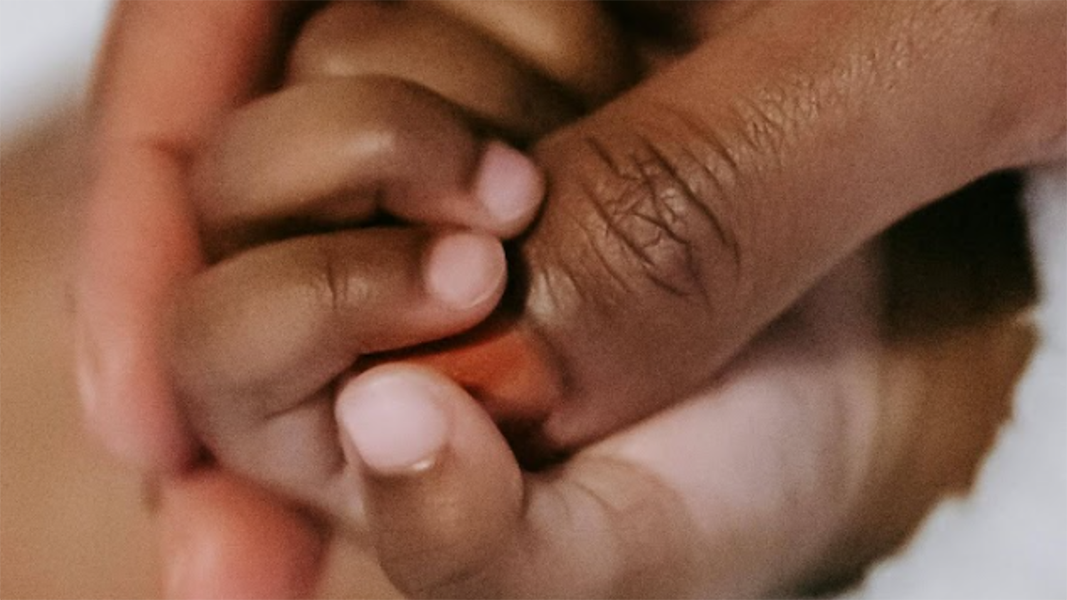A baby's hand holding its mother's thumb