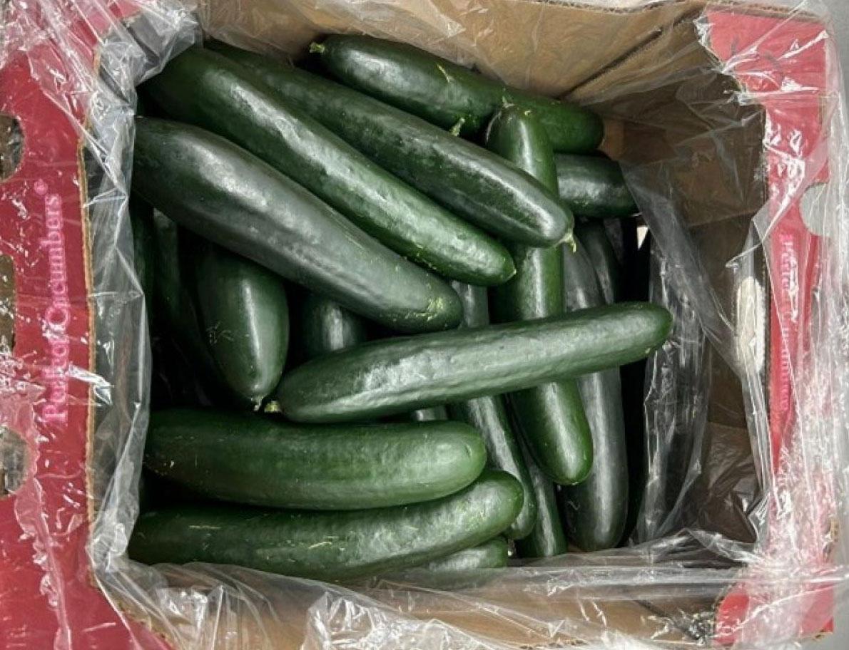 Box of cucumbers