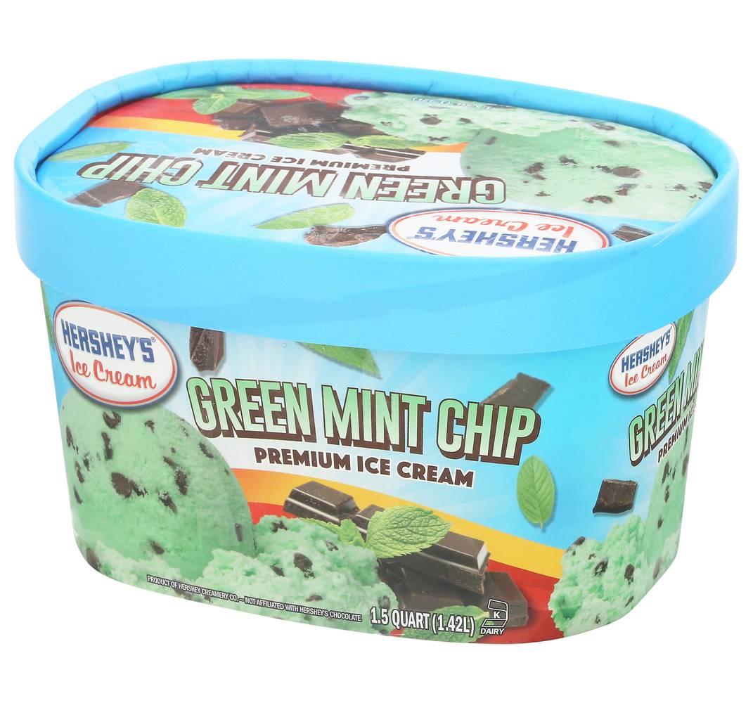 A pint of Hershey's Ice Cream - Green Mint Chip flavor.