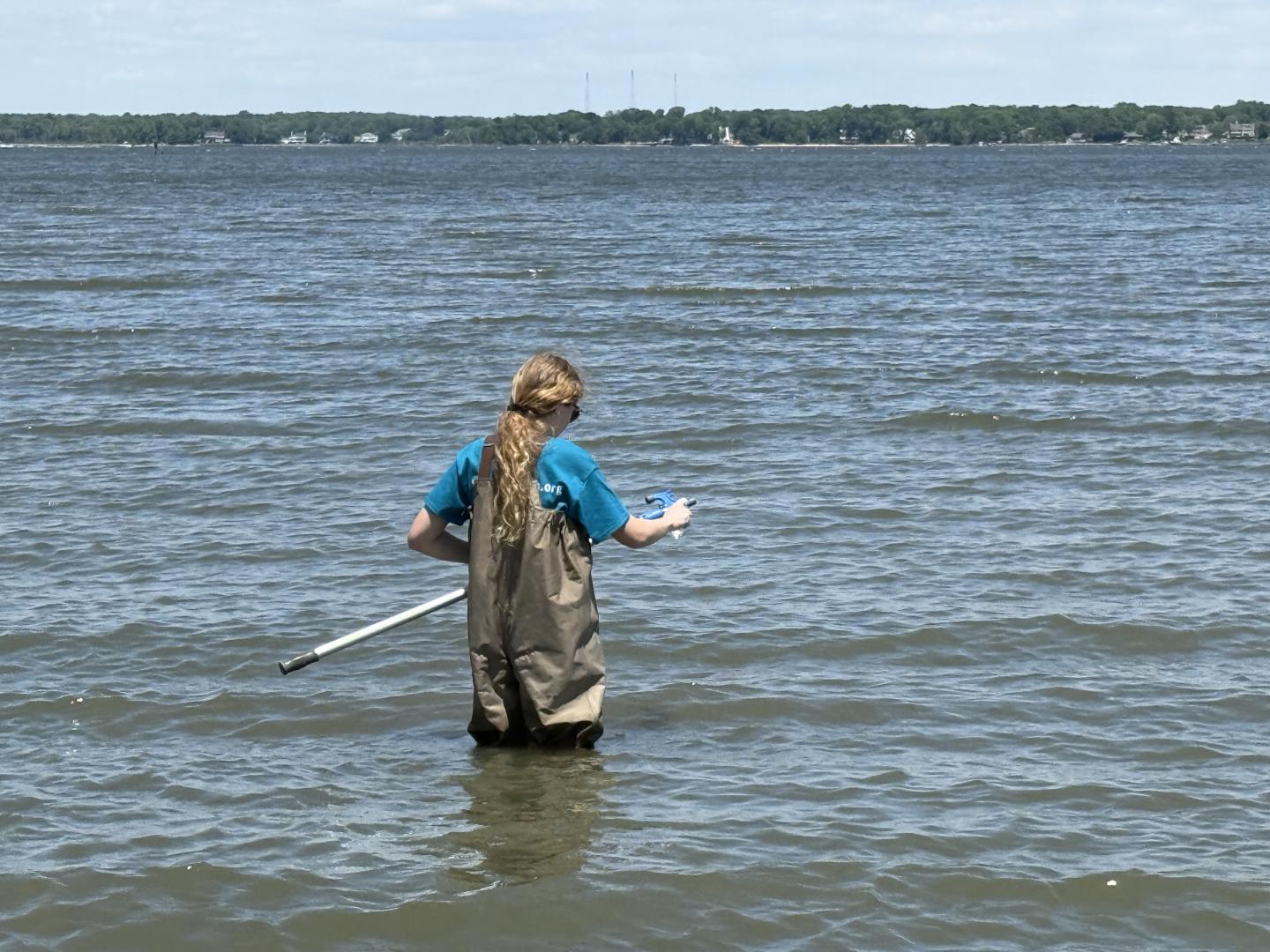 A person taking water samples in the bay