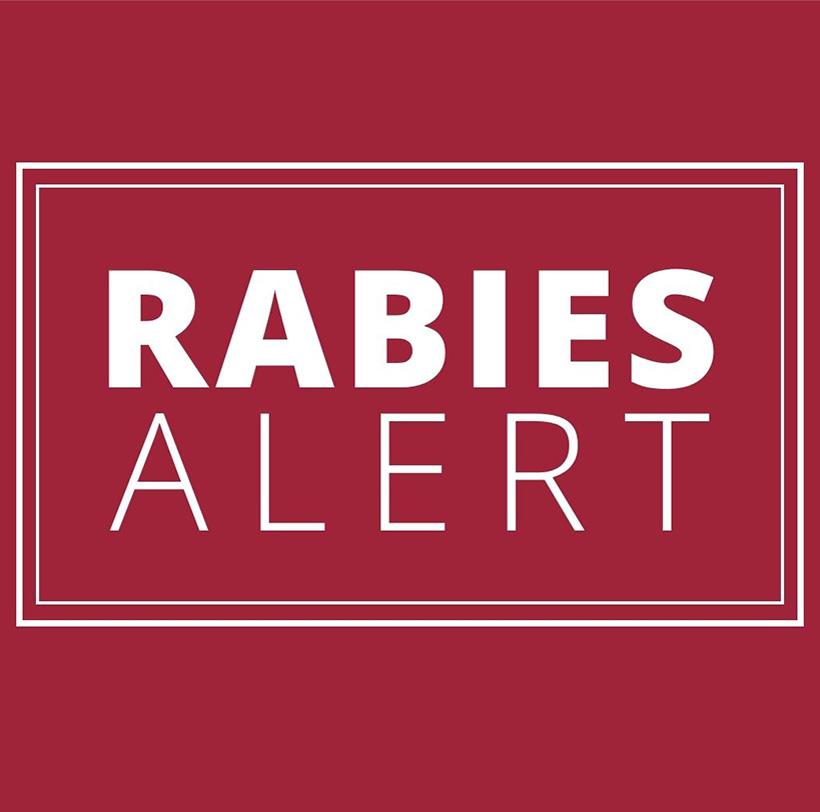Rabies Alert